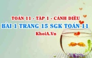Bài 1 trang 15 SGK Toán 11 tập 1 Cánh Diều